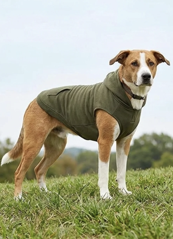 Serenehound Calming Vest