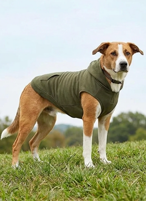 Serenehound Calming Vest