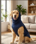 Serenehound Calming Vest